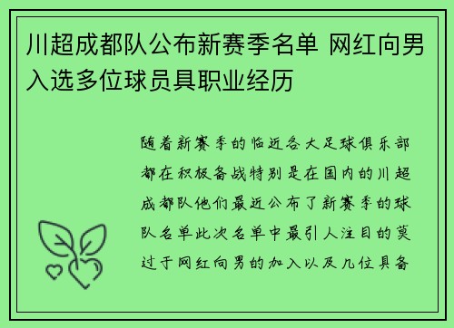 川超成都队公布新赛季名单 网红向男入选多位球员具职业经历