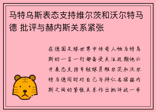 马特乌斯表态支持维尔茨和沃尔特马德 批评与赫内斯关系紧张